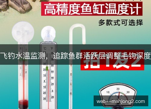 飞钓水温监测，追踪鱼群活跃层调整毛钩深度